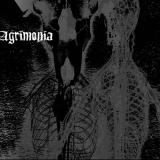 Agrimonia