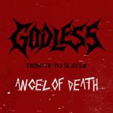 Angel of Death (Slayer Cover)