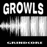 Hunter Sounds
                
                
                GROWLS Grindcore